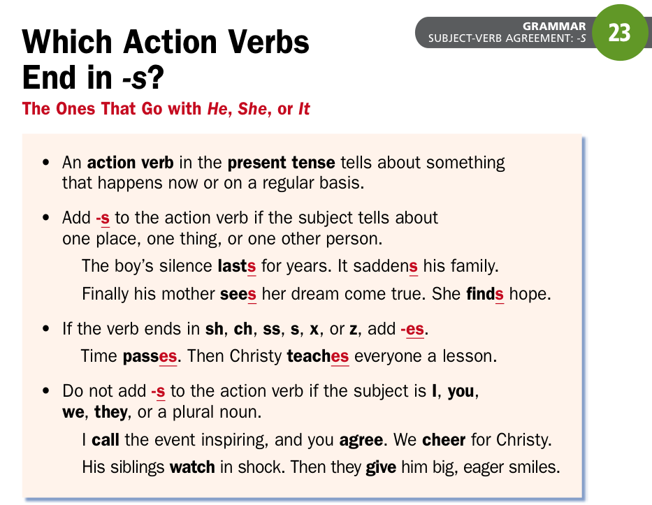 grammar-action-verbs-ms-martino